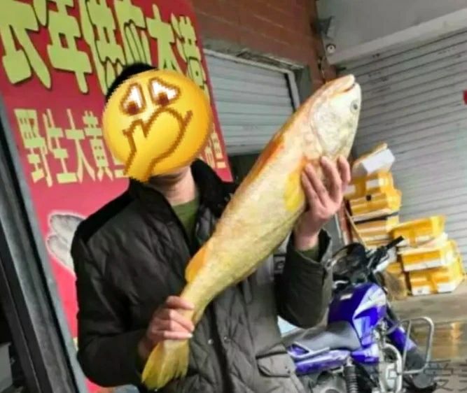 急！如何拉出 7 斤宿便？816 / 作者:健康小天使 / 帖子ID:294951