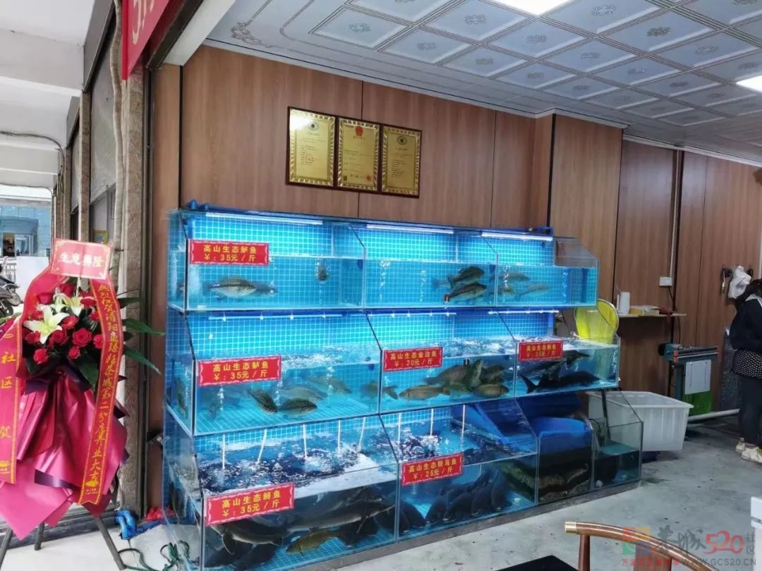 听说这种深山冷水鱼上广西卫视了，大家吃过吗？822 / 作者:论坛小编01 / 帖子ID:295037