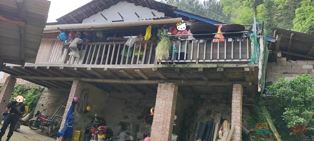 司法救助入户核查，强力护航乡村振兴78 / 作者:论坛小编01 / 帖子ID:295263