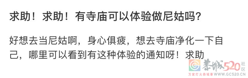 最新网红穿搭，人均甘露寺在逃尼姑656 / 作者:儿时的回忆 / 帖子ID:295267
