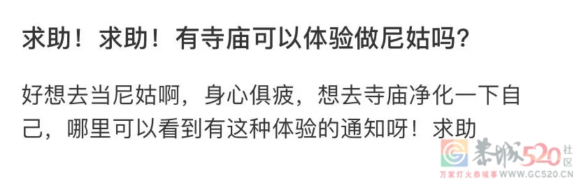 最新网红穿搭，人均甘露寺在逃尼姑829 / 作者:儿时的回忆 / 帖子ID:295267