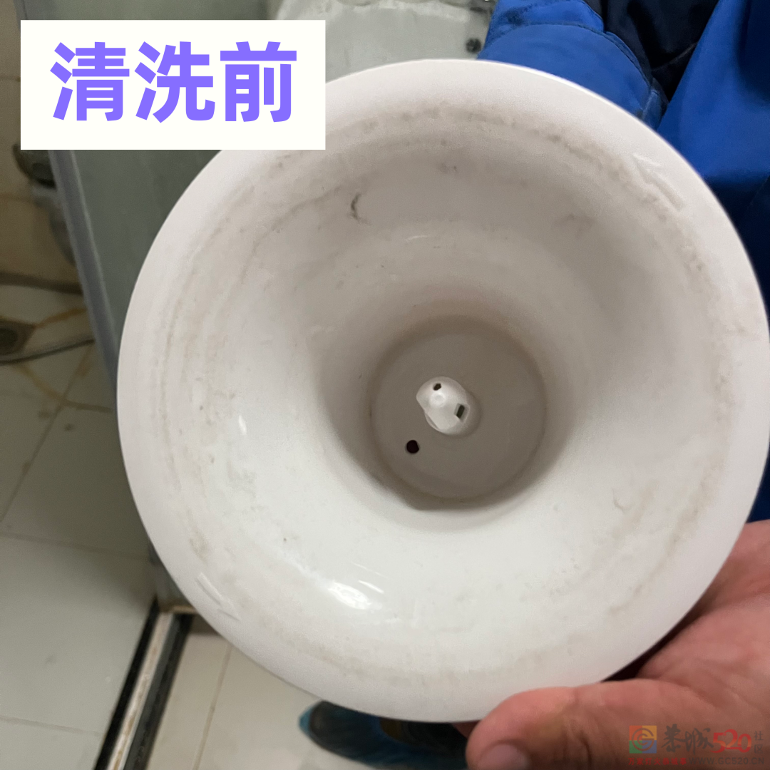 这种小家电，居然每天都在让你喝脏水！802 / 作者:健康小天使 / 帖子ID:295368
