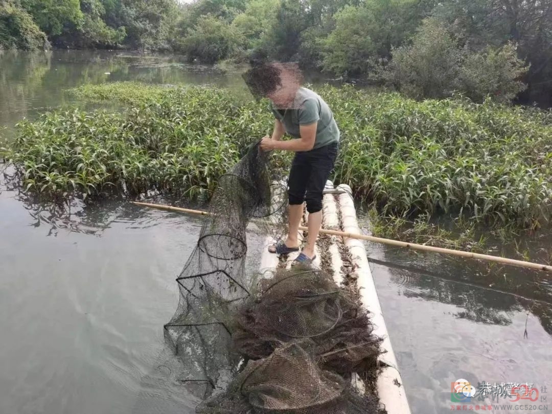 重拳出击，恭城公安局查处多起非法捕捞水产品案件446 / 作者:论坛小编01 / 帖子ID:295624