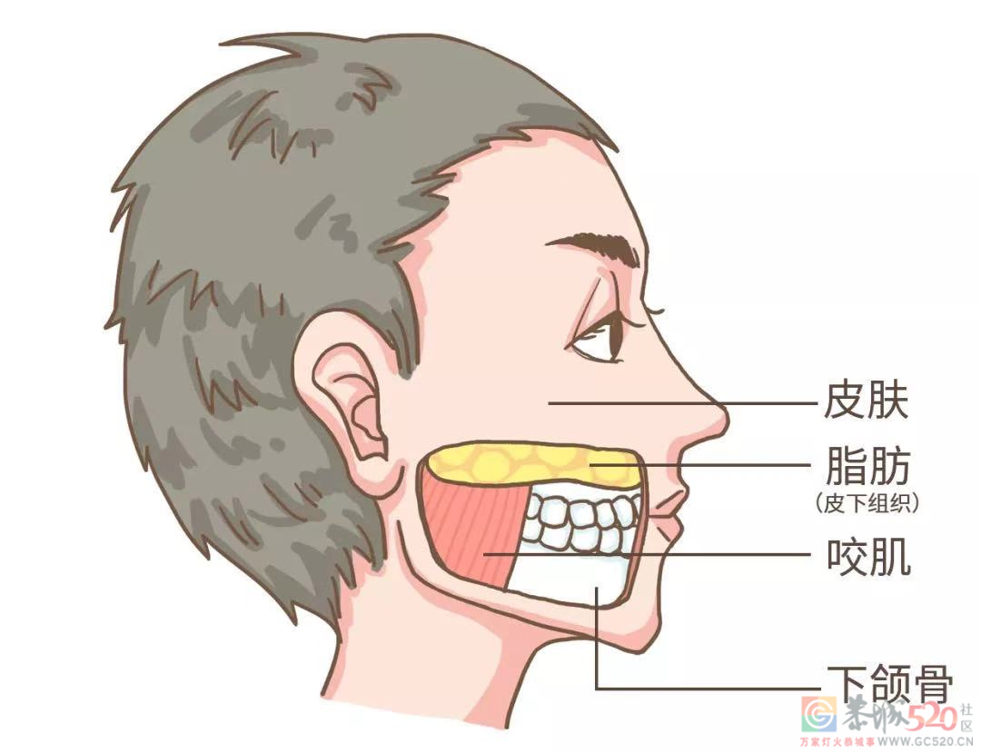 人体最硬的部位，却在晚上备受摧残365 / 作者:健康小天使 / 帖子ID:295642
