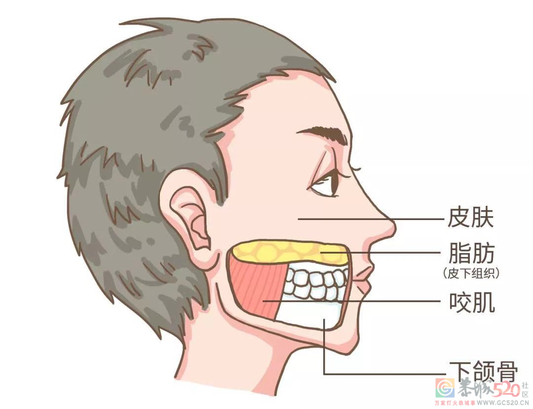 人体最硬的部位，却在晚上备受摧残316 / 作者:健康小天使 / 帖子ID:295642