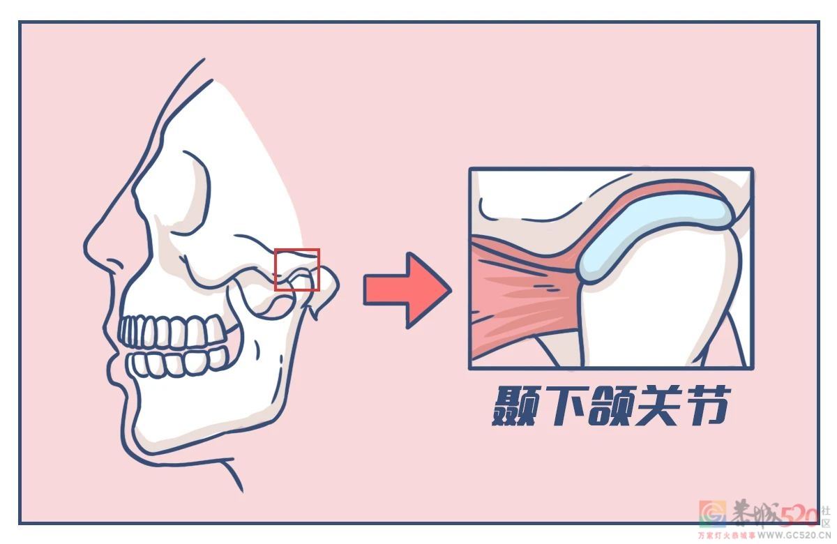 人体最硬的部位，却在晚上备受摧残796 / 作者:健康小天使 / 帖子ID:295642