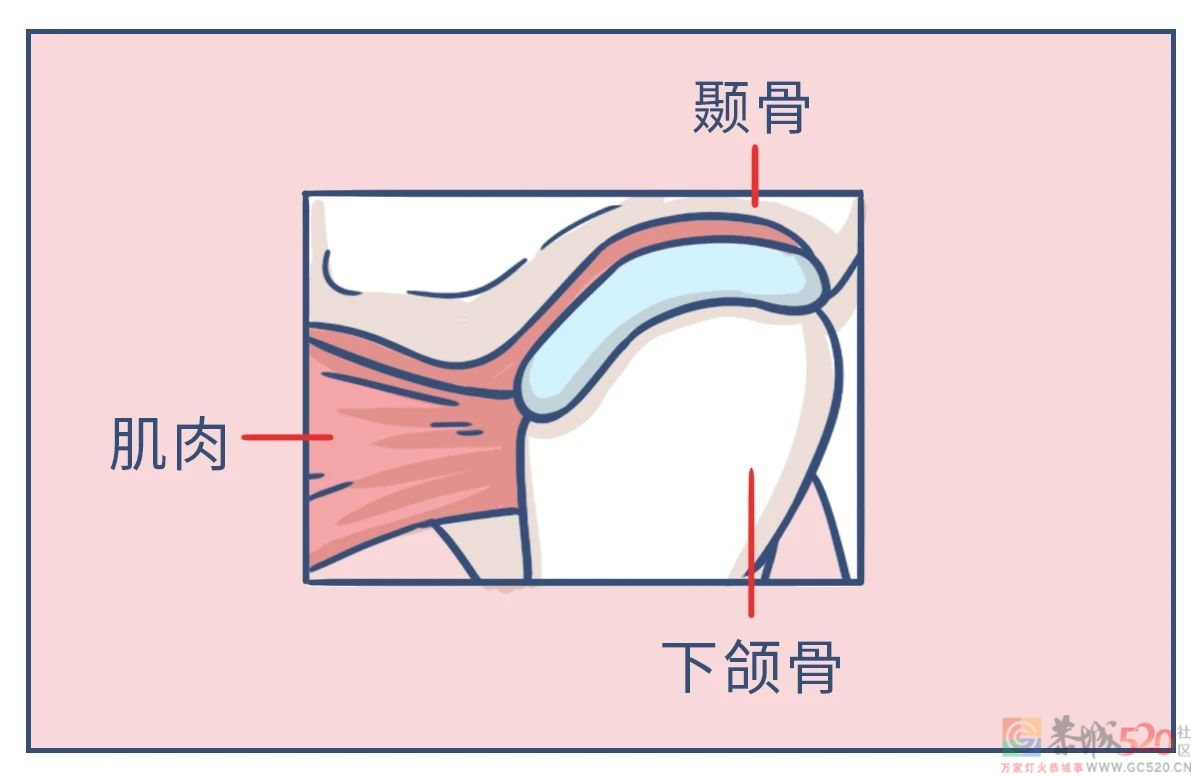 人体最硬的部位，却在晚上备受摧残726 / 作者:健康小天使 / 帖子ID:295642