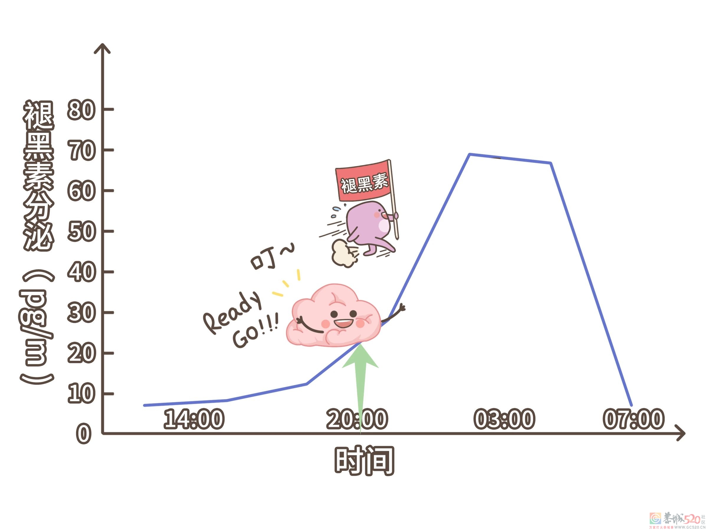 倒头就睡的人，到底是怎么做到的？795 / 作者:健康小天使 / 帖子ID:295681