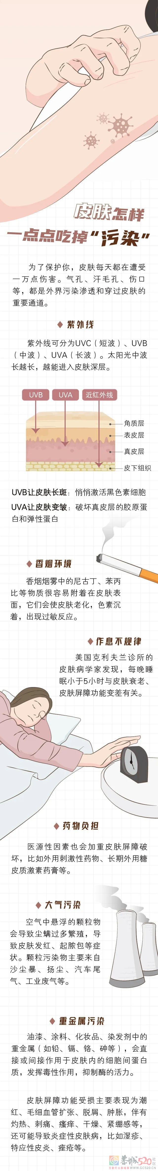 人体最大的器官，每天为你抵御一万点伤害311 / 作者:健康小天使 / 帖子ID:295743