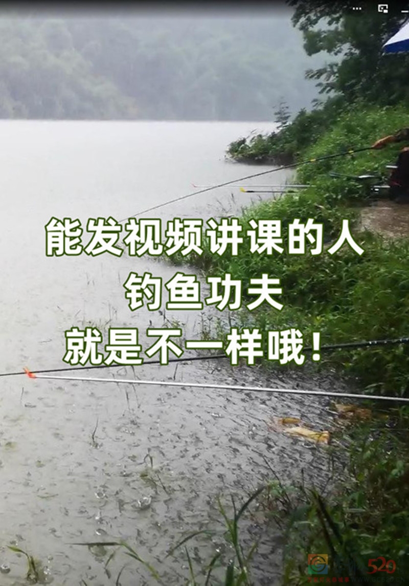 《能发视频讲课的人钓鱼功夫就是不一样哦！》723 / 作者:MDG / 帖子ID:295841