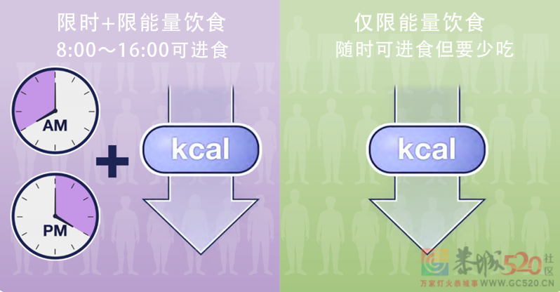 连续一年不吃晚饭会怎么样？南方医科大学做了个真人实验391 / 作者:健康小天使 / 帖子ID:295895
