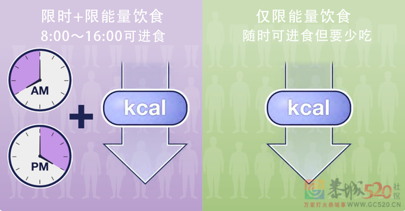 连续一年不吃晚饭会怎么样？南方医科大学做了个真人实验496 / 作者:健康小天使 / 帖子ID:295895