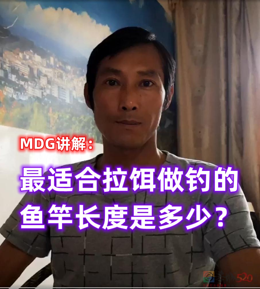 《MDG讲解：最适合拉饵做钓的鱼竿长度是多少？》443 / 作者:MDG / 帖子ID:295898