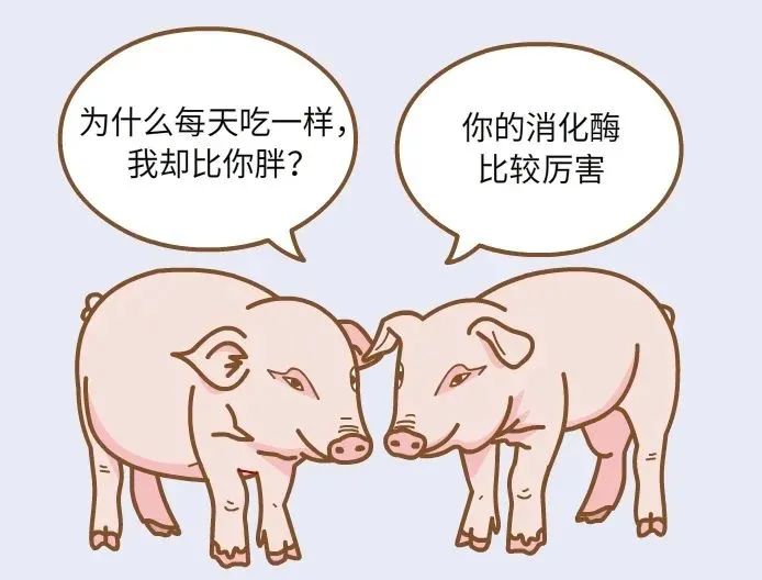 为了减肥，有人开始吃猪饲料添加剂了？566 / 作者:健康小天使 / 帖子ID:295987