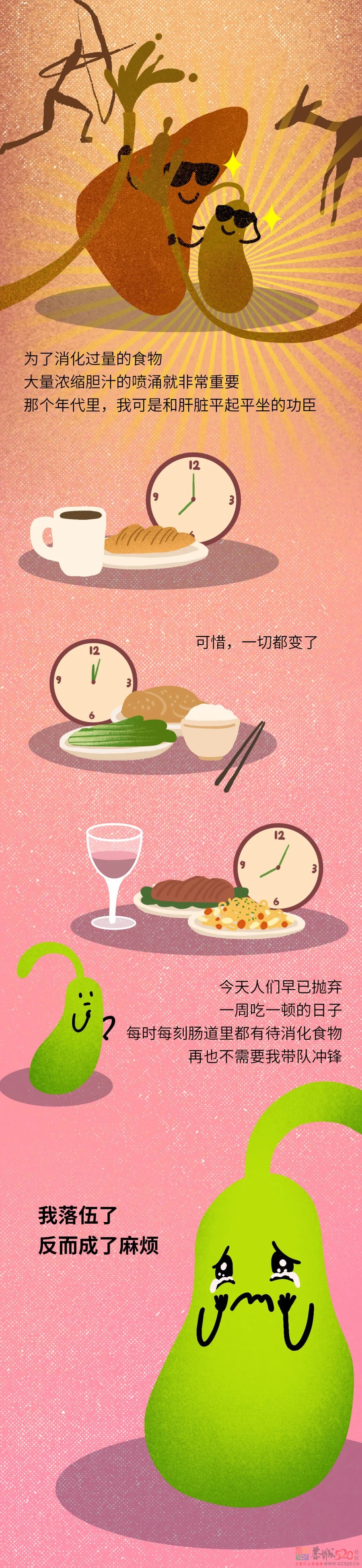 身子上最没用的器官，每天还在拼命工作（不是阑尾）383 / 作者:健康小天使 / 帖子ID:296130