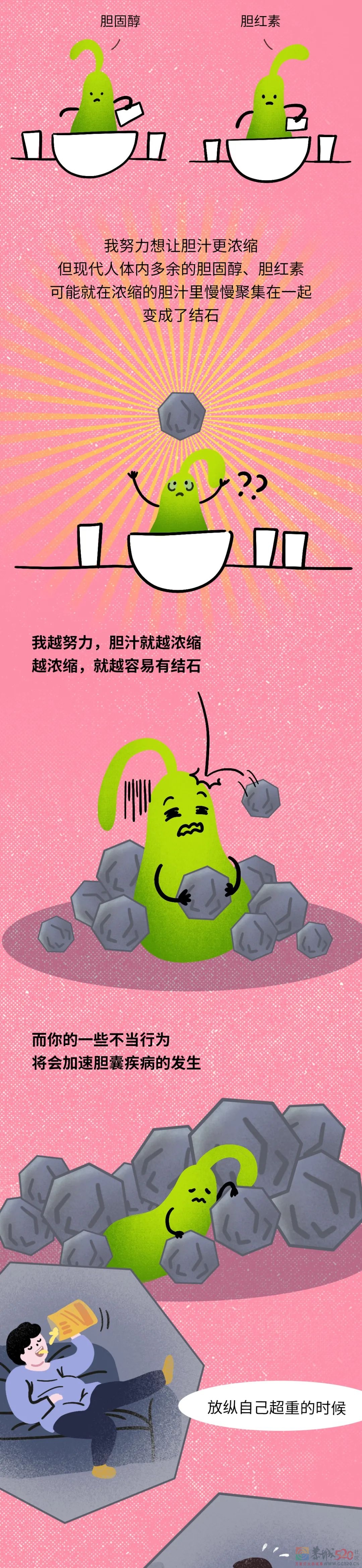 身子上最没用的器官，每天还在拼命工作（不是阑尾）853 / 作者:健康小天使 / 帖子ID:296130
