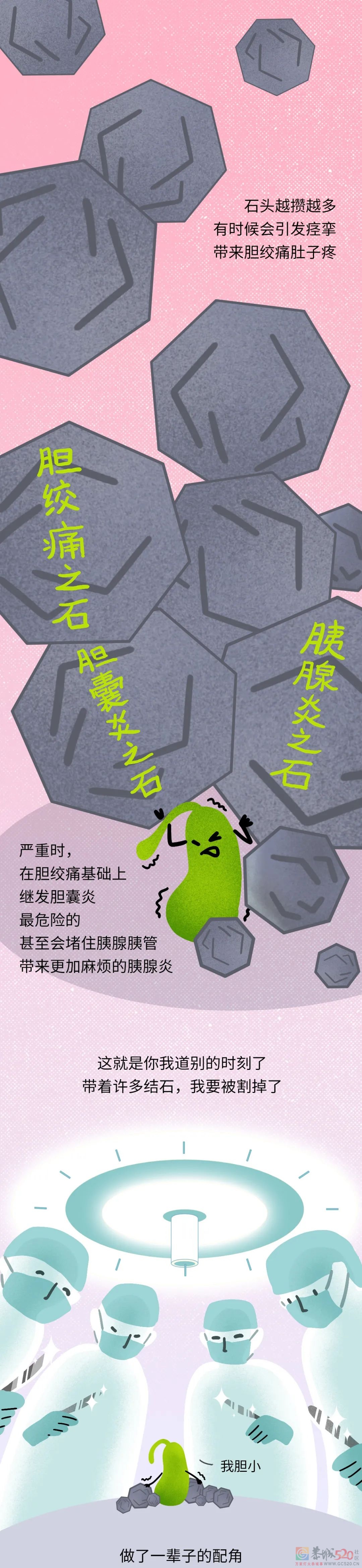 身子上最没用的器官，每天还在拼命工作（不是阑尾）426 / 作者:健康小天使 / 帖子ID:296130