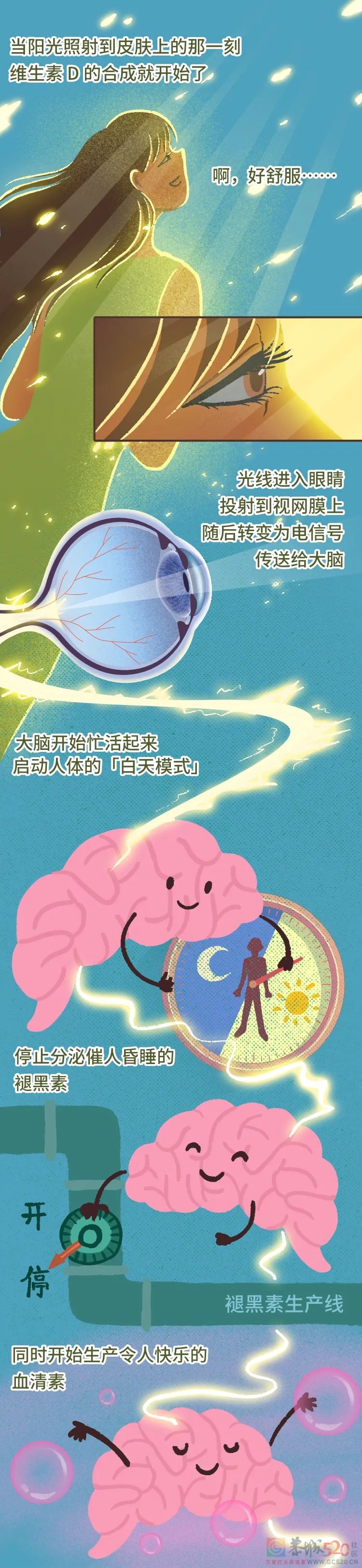 别再躲太阳了，这可是不花钱的「补药」！39 / 作者:健康小天使 / 帖子ID:296158