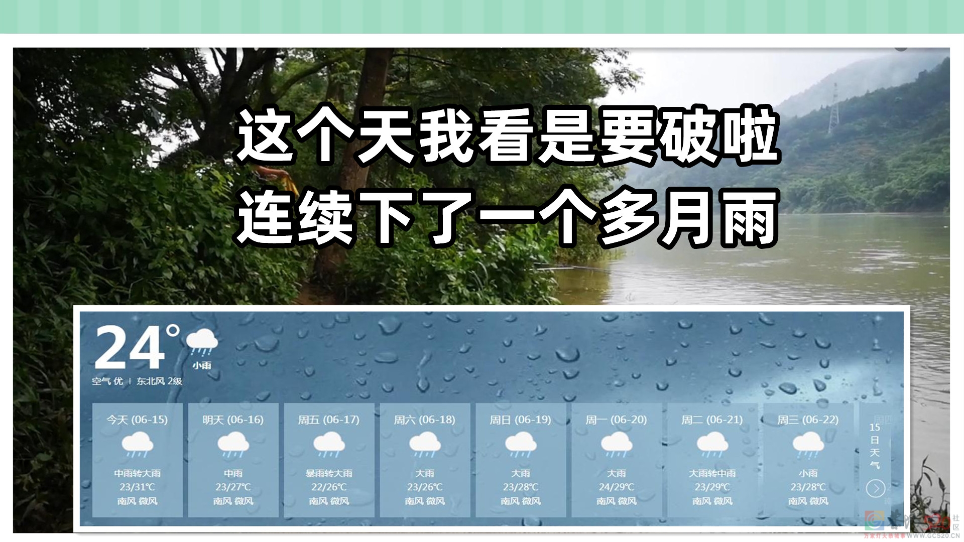 《天天下雨涨大水严重影响钓鱼工作》488 / 作者:MDG / 帖子ID:296406