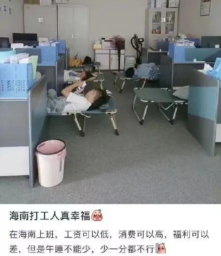 夏天不午睡的人，你会后悔的！450 / 作者:健康小天使 / 帖子ID:296450