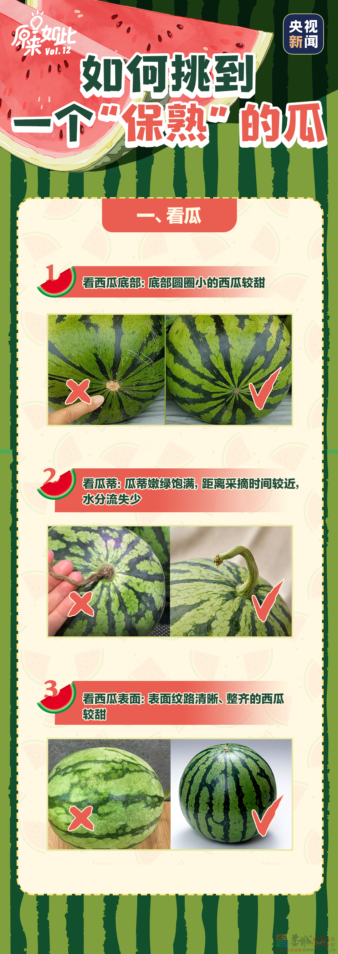 瓜，这么吃才对！361 / 作者:儿时的回忆 / 帖子ID:296514