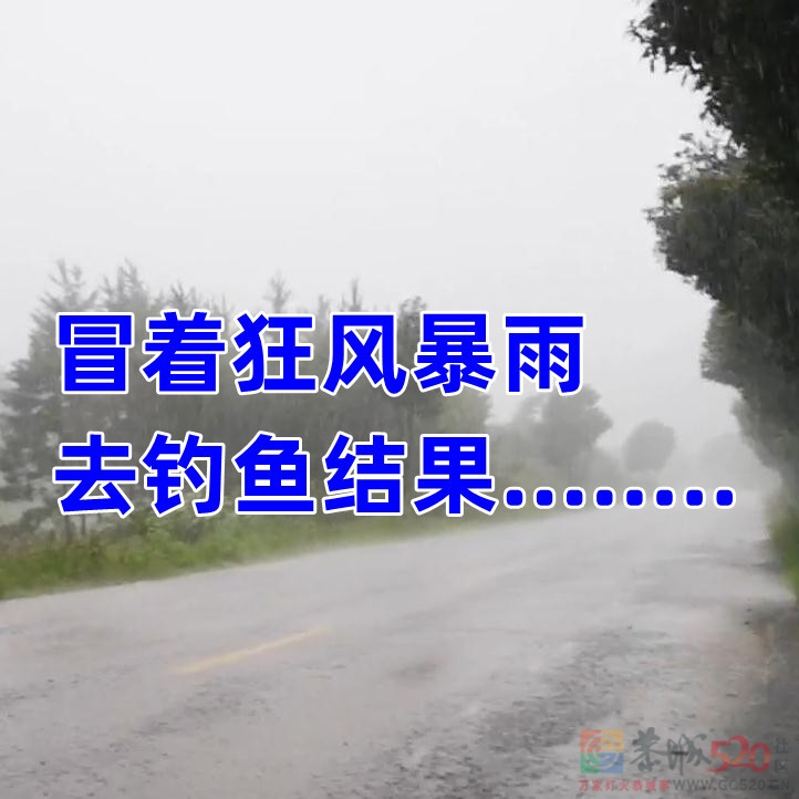 《男子冒着狂风暴雨去钓鱼，结果........》834 / 作者:MDG / 帖子ID:296552