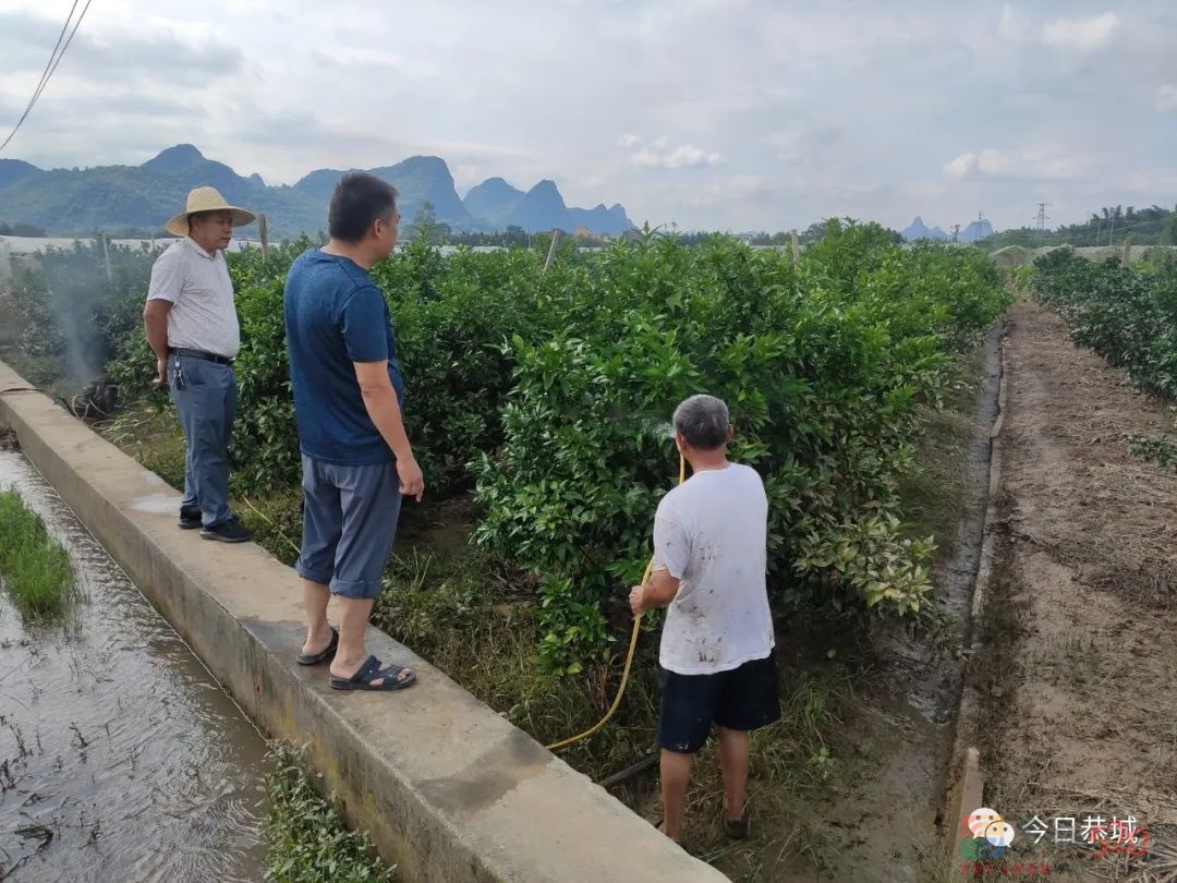 汛后我县各乡镇生产生活秩序基本恢复正常577 / 作者:论坛小编01 / 帖子ID:296701