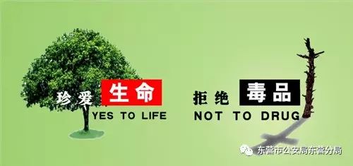 禁毒宣传在行动，筑牢安全防火墙643 / 作者:论坛小编01 / 帖子ID:296703