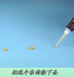 听说，鞋底踩蟑螂会“越踩越多”？如果踩死了一定这样处理992 / 作者:健康小天使 / 帖子ID:296749