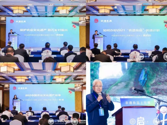 三品一标丨“恭城月柿”成广西唯一入选农业农村部 “农遗良品”十佳品牌！213 / 作者:论坛小编01 / 帖子ID:296750