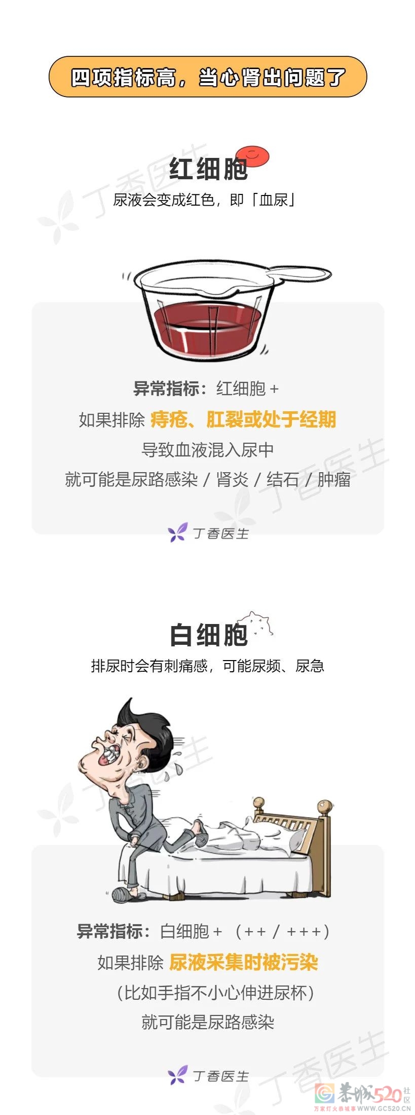 肾好不好，一杯尿就知道272 / 作者:健康小天使 / 帖子ID:296990