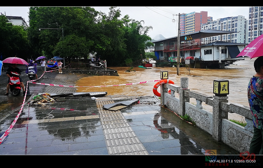 今天的大水巳明显消退了321 / 作者:平安大叔 / 帖子ID:297009