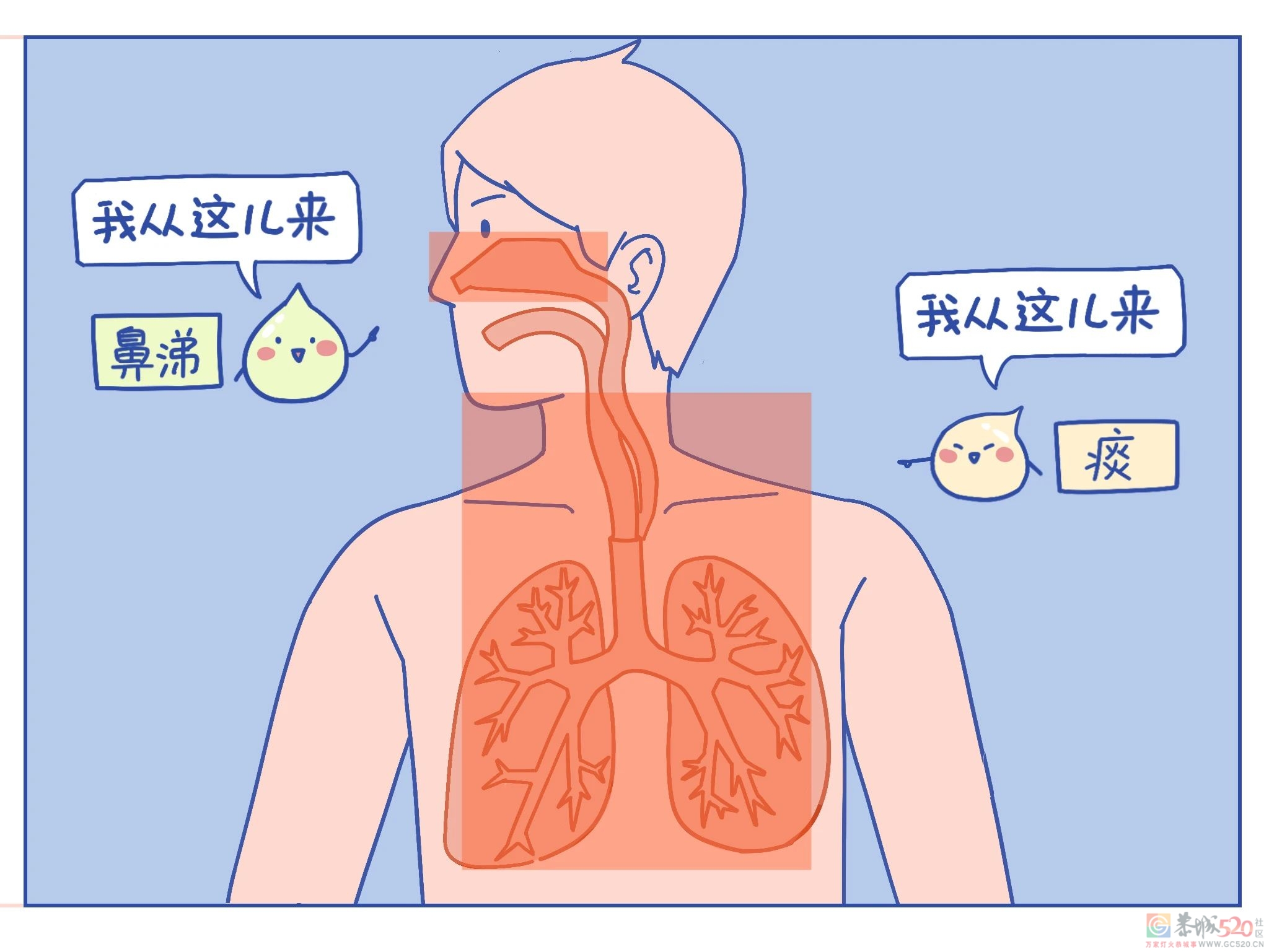 把痰咽回去，会不会对身体不好啊？64 / 作者:健康小天使 / 帖子ID:297180