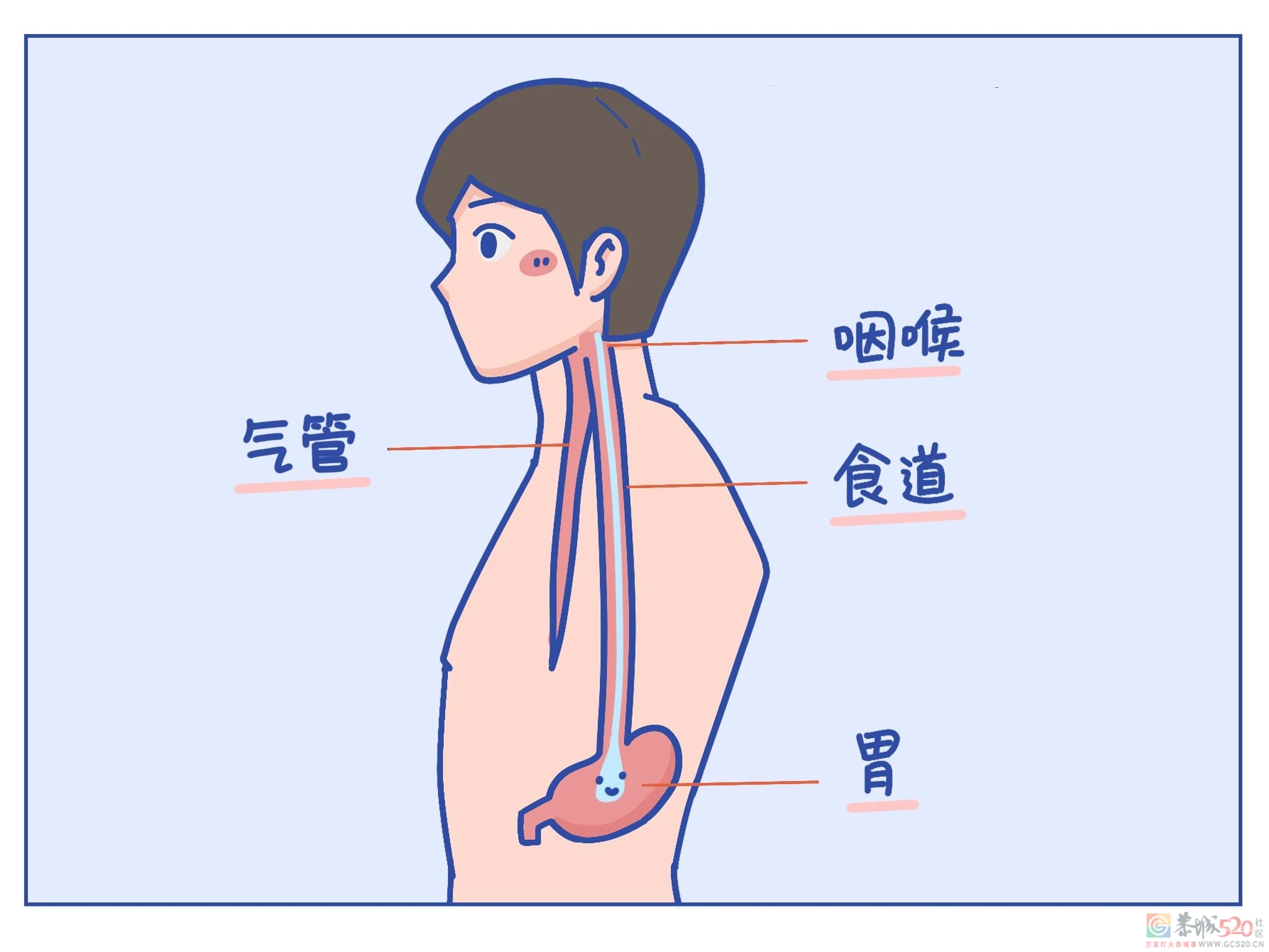把痰咽回去，会不会对身体不好啊？596 / 作者:健康小天使 / 帖子ID:297180