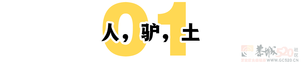 《隐入尘烟》：城市的电影院里，能飘进黄土吗？514 / 作者:该做的事情 / 帖子ID:297715