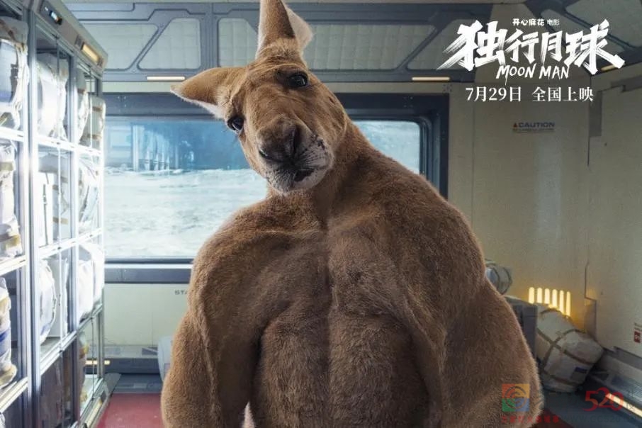 《独行月球》“含腾量”很高，这点可以放心534 / 作者:该做的事情 / 帖子ID:297921