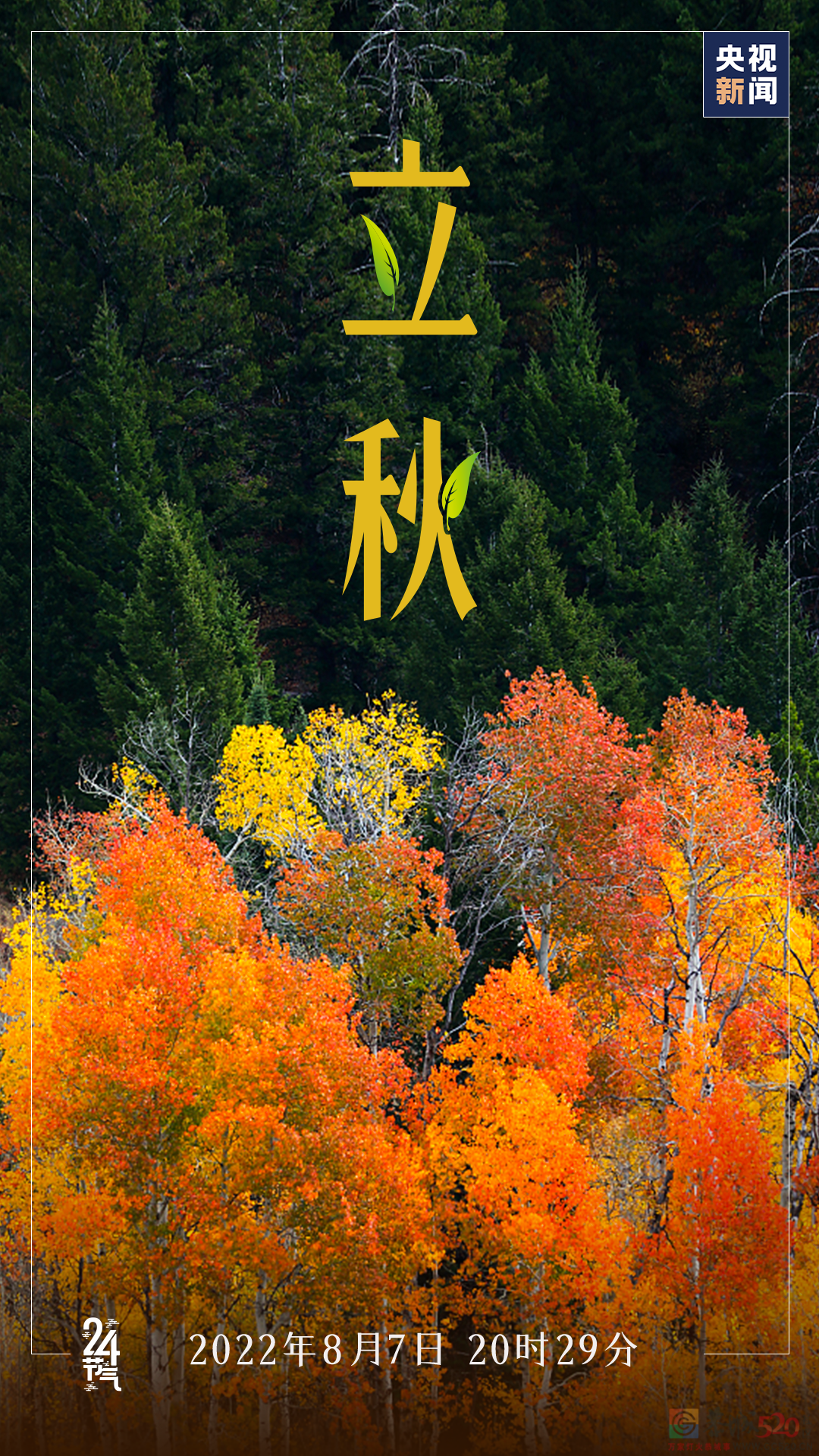 今日，立秋227 / 作者:登山涉水 / 帖子ID:298191