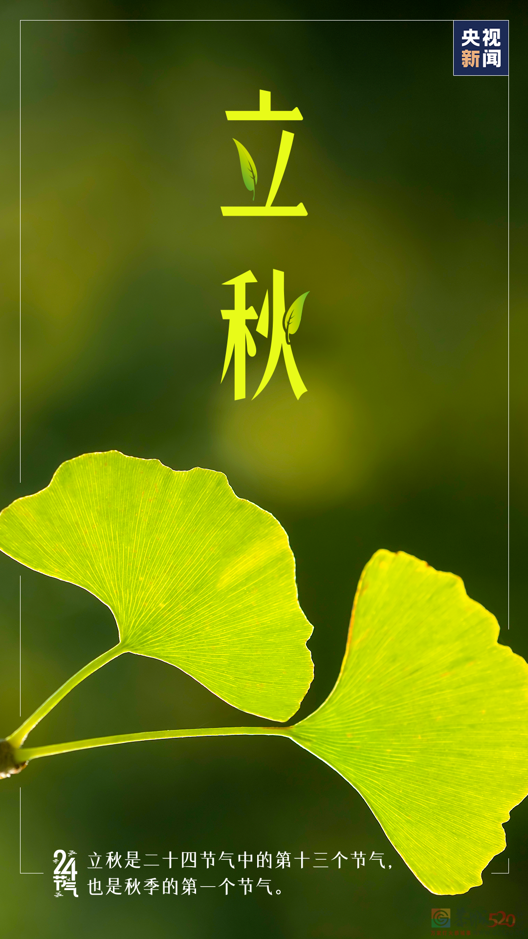 今日，立秋258 / 作者:登山涉水 / 帖子ID:298191