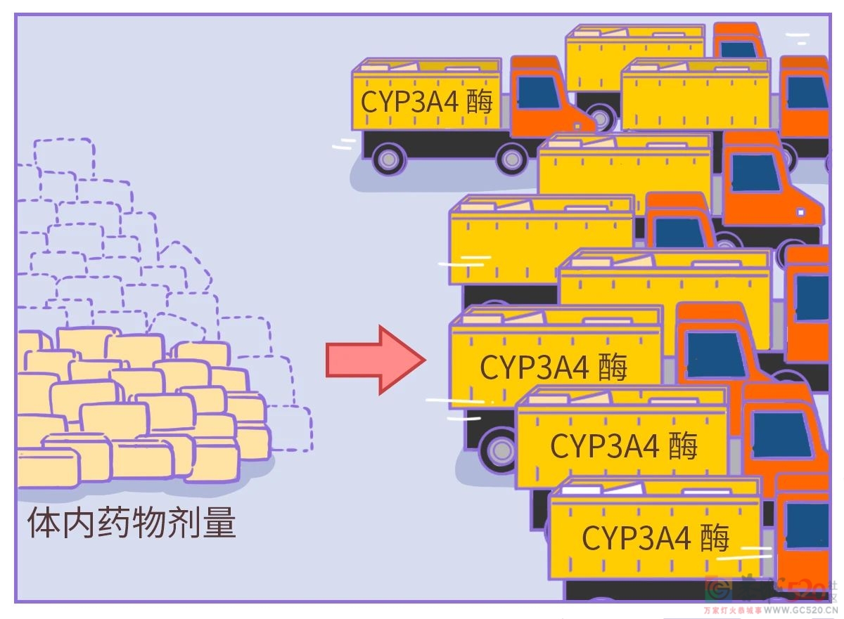 吃降压药的人，千万当心一种水果764 / 作者:健康小天使 / 帖子ID:298225