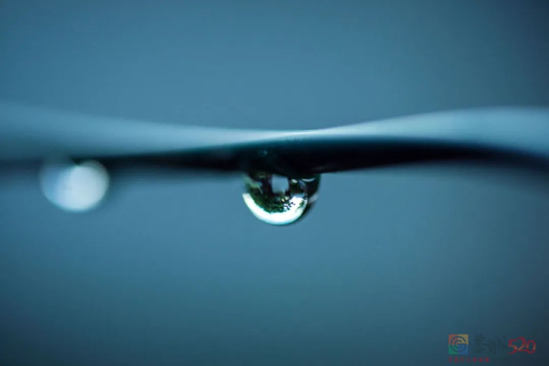夏秋之交“湿气”最盛，中医教你护好7个部位412 / 作者:健康小天使 / 帖子ID:298292