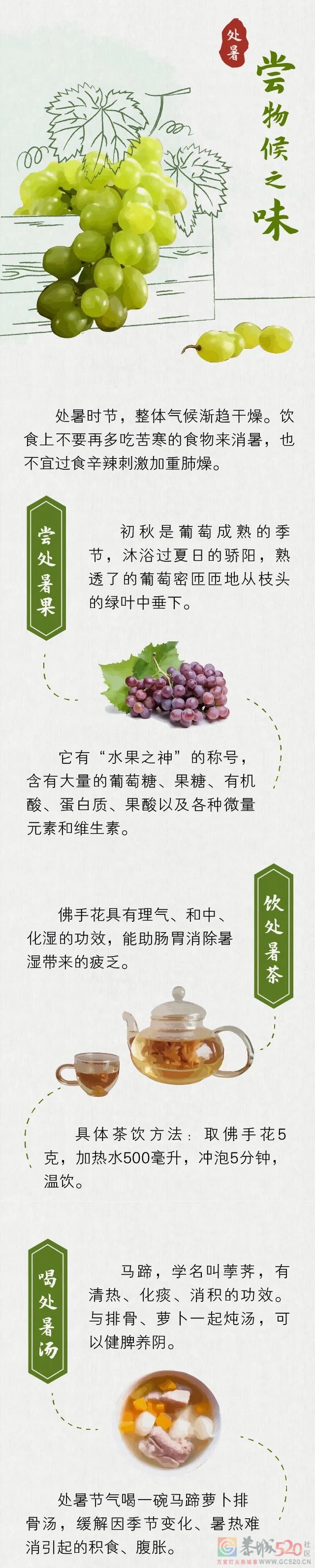 处暑：秋风吹走了最后一丝暑气707 / 作者:健康小天使 / 帖子ID:298724