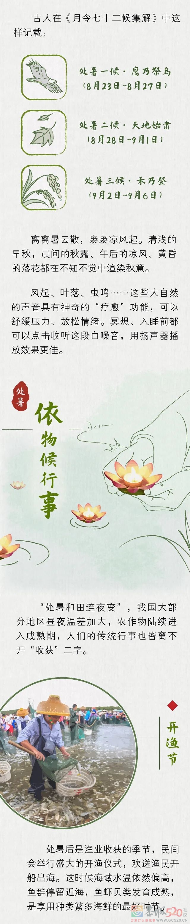 处暑：秋风吹走了最后一丝暑气649 / 作者:健康小天使 / 帖子ID:298724