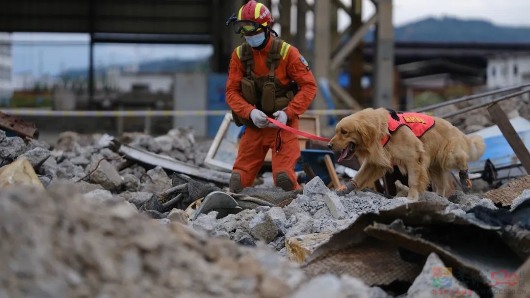 “旱震理论”，是危言耸听还是科学预测？368 / 作者:儿时的回忆 / 帖子ID:299127