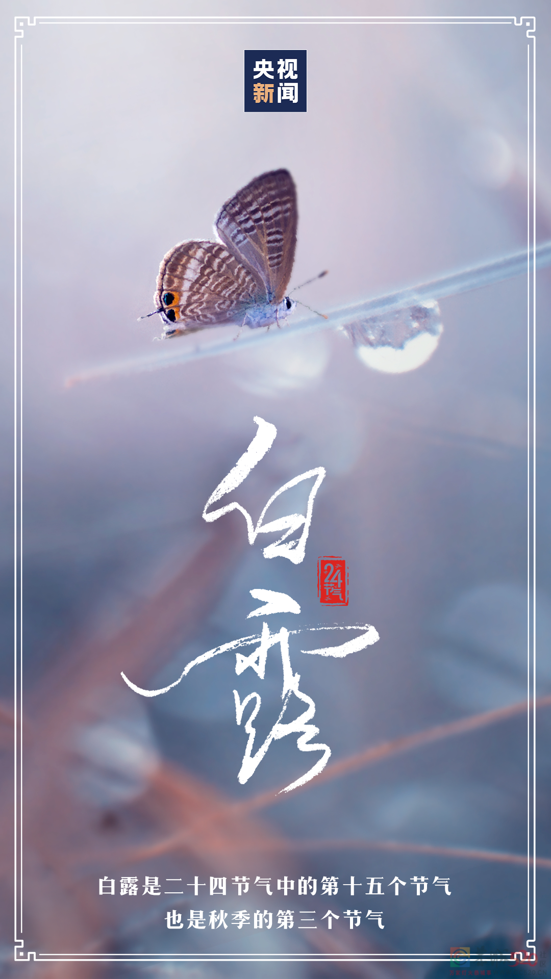 白露至，凉意浓922 / 作者:登山涉水 / 帖子ID:299153