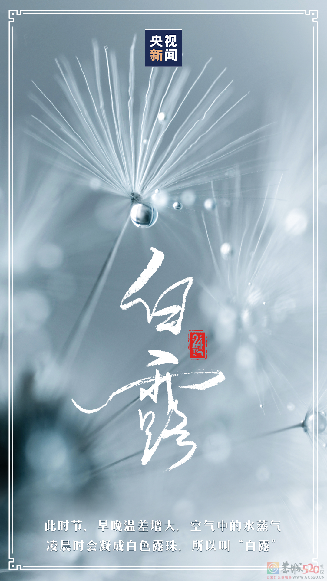 白露至，凉意浓61 / 作者:登山涉水 / 帖子ID:299153
