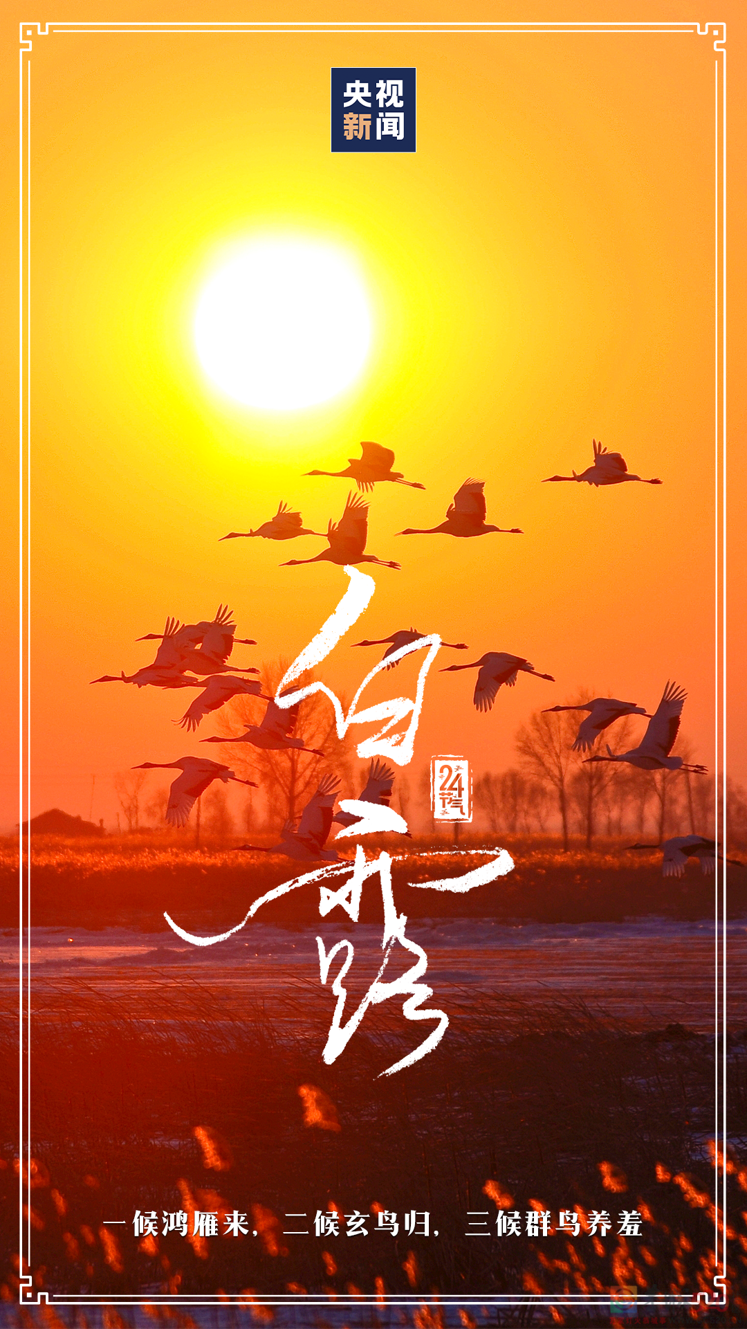 白露至，凉意浓571 / 作者:登山涉水 / 帖子ID:299153