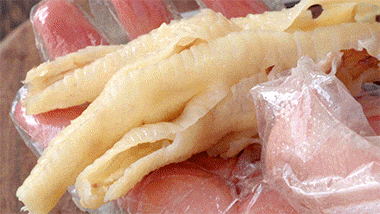 上班累了吧？进来吃爪子。491 / 作者:爱生活爱美食 / 帖子ID:299360