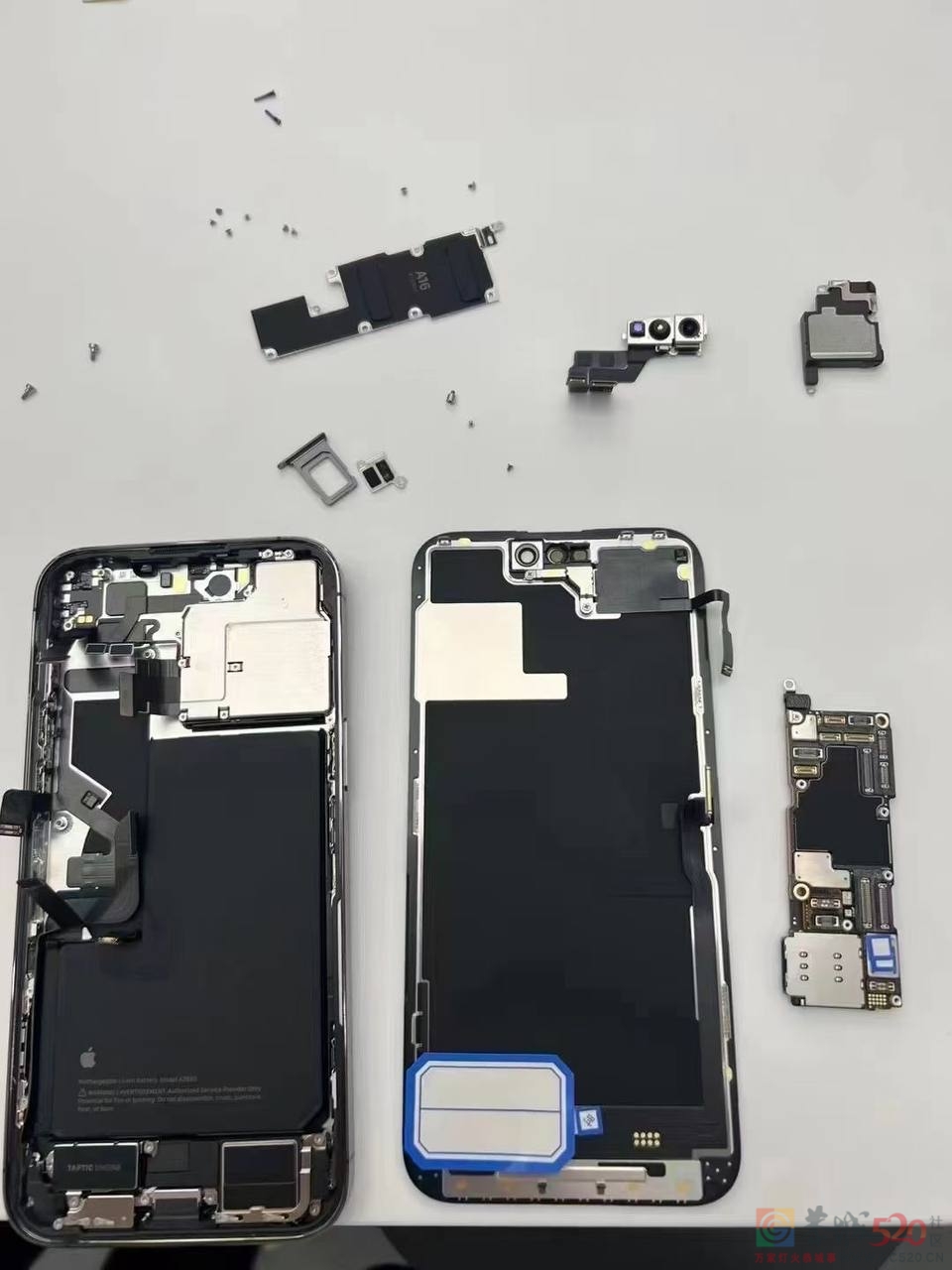 网友刚买的iphone14ProMax就摔碎了799 / 作者:闲不住a / 帖子ID:299447