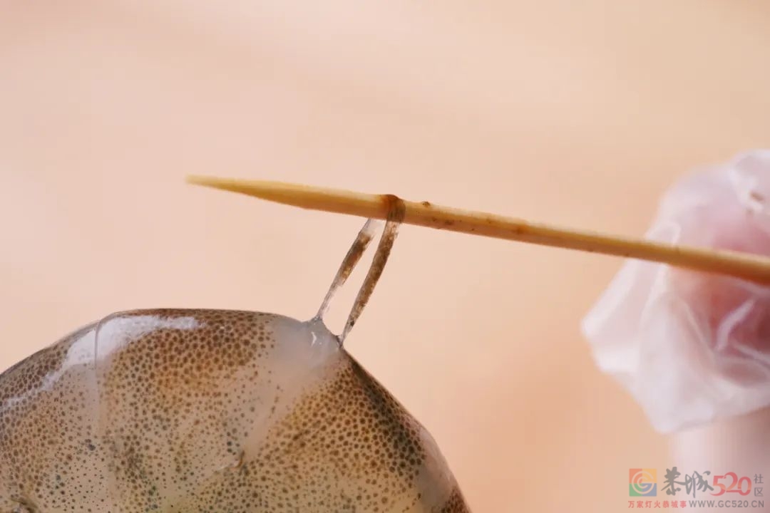你怎么每次一下班就冲去买虾？9 / 作者:爱生活爱美食 / 帖子ID:299547