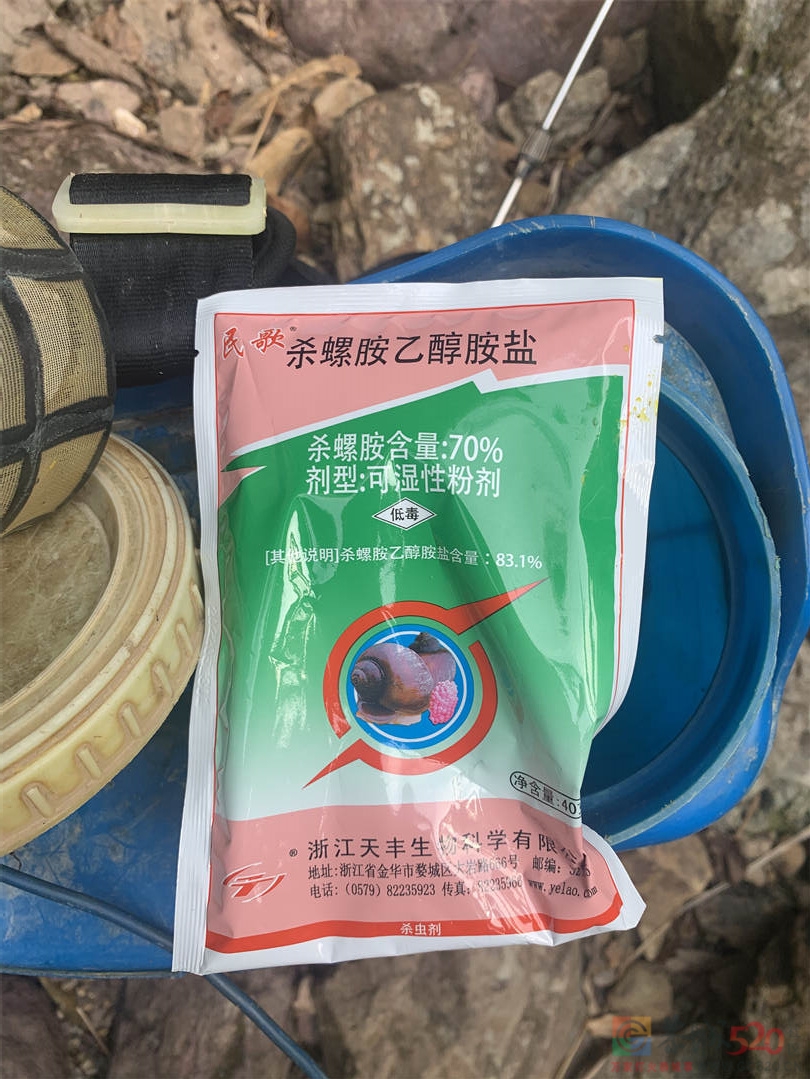 昨天有人在朝川村水源毒鱼，今天消防队来送水了941 / 作者:闲不住a / 帖子ID:299564